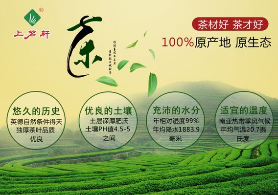 培训+赛事课堂+茶园——咸安开展冬春茶叶种植采摘技术培训