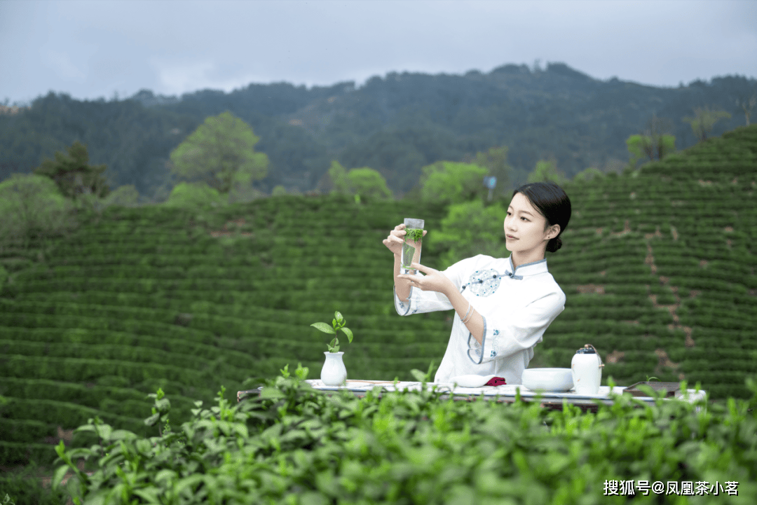 深山产好茶一叶出繁华——“国宾礼茶”岳西翠兰(图1)