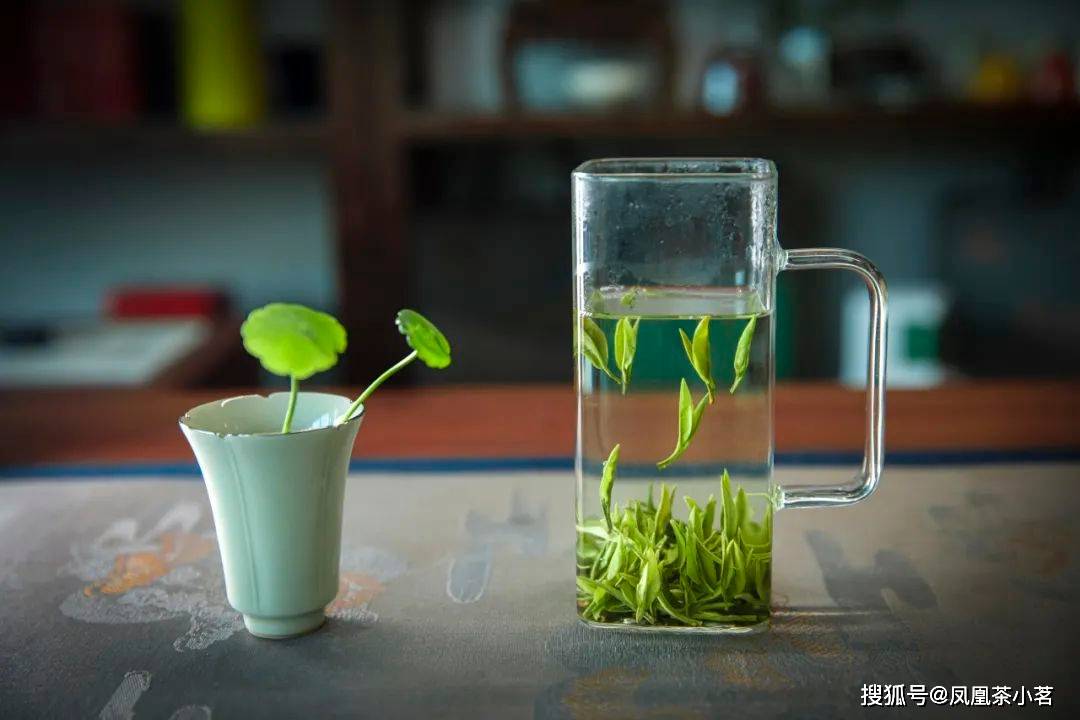深山产好茶一叶出繁华——“国宾礼茶”岳西翠兰(图3)
