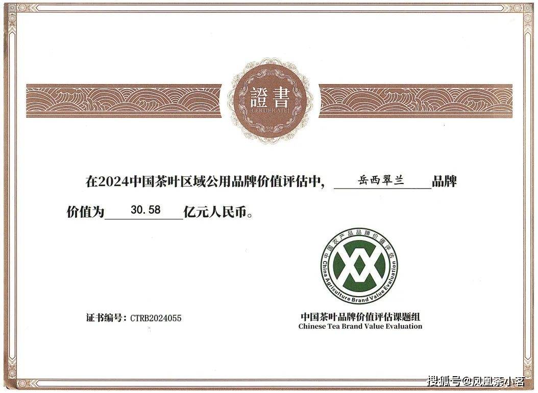 深山产好茶一叶出繁华——“国宾礼茶”岳西翠兰(图9)