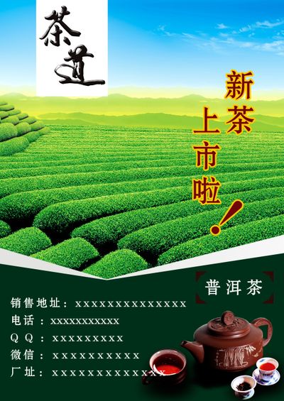 茶叶知识百科