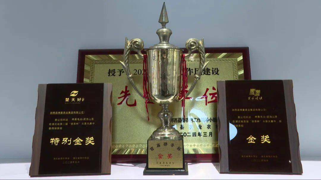 十堰郧西：茶香漫山野 绿叶变“金叶”(图12)