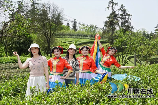 jbo竞博下载以茶为轴 纳溪区这场展演活动“茶香四溢”(图4)