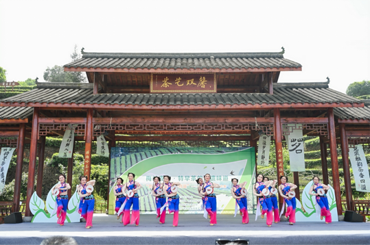 以茶为轴 泸州纳溪区这场展演活动“茶香四溢”jbo竞博APP(图5)