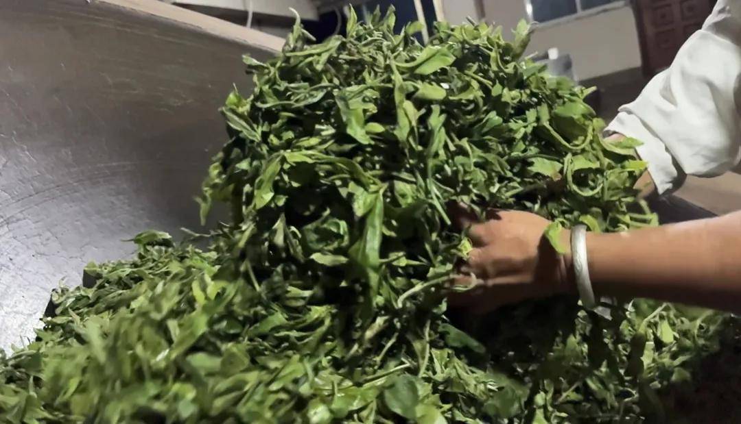 中国茶向何处去？农夫山泉在云南打造“产业丛林”(图3)