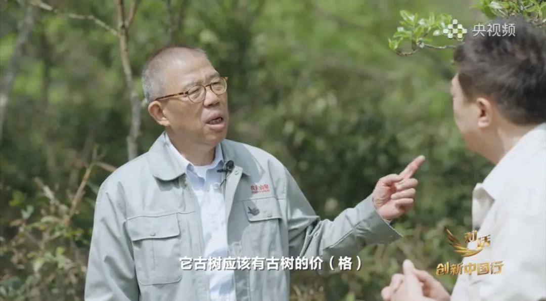 中国茶向何处去？农夫山泉在云南打造“产业丛林”(图6)