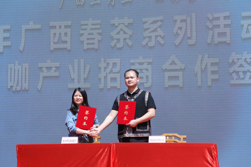 春茶飘香 共赴茶约(图4)
