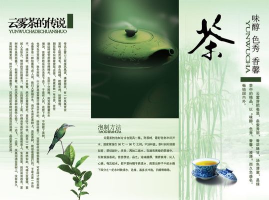 税惠春风润茶香崇阳“绿叶子”变“金叶子”