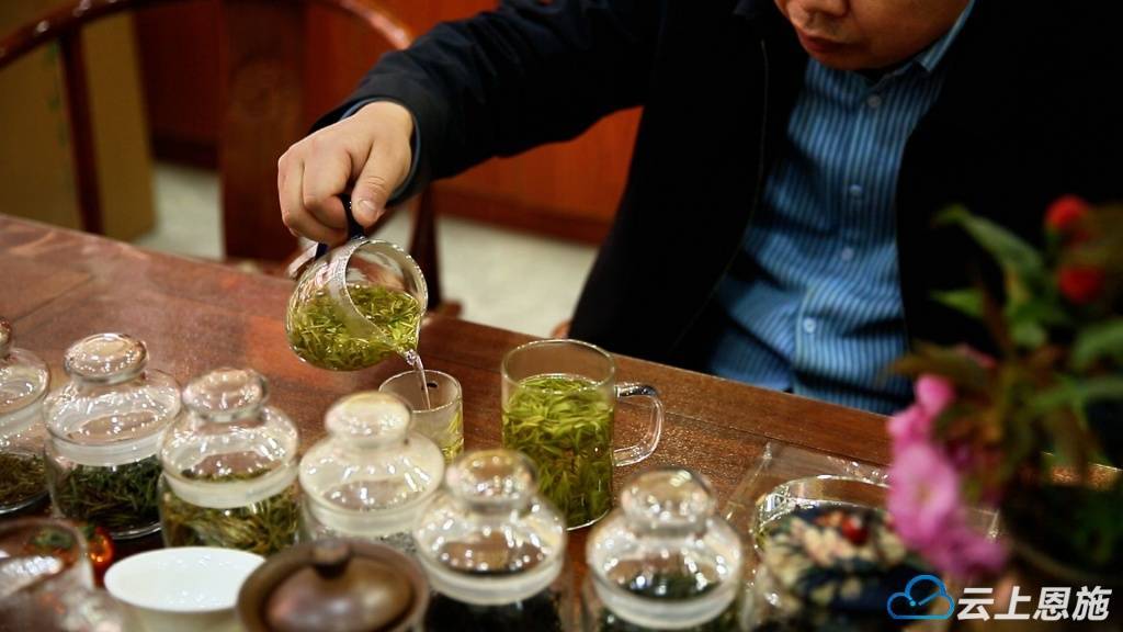 “茶链专运”跑出咸丰白茶出山加速度(图4)