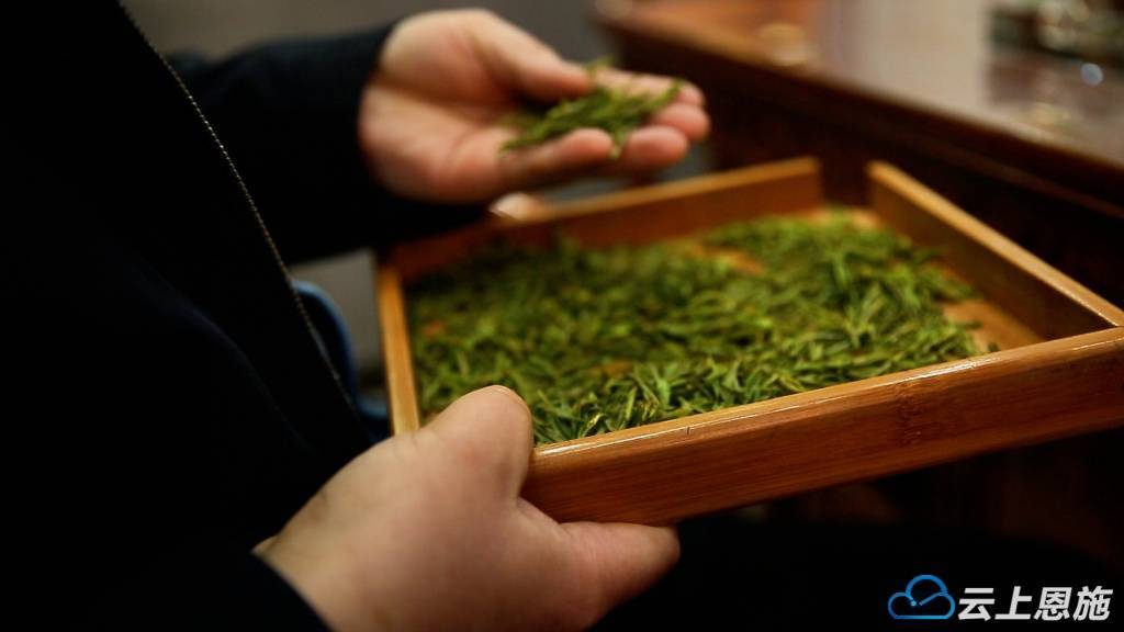 “茶链专运”跑出咸丰白茶出山加速度(图3)