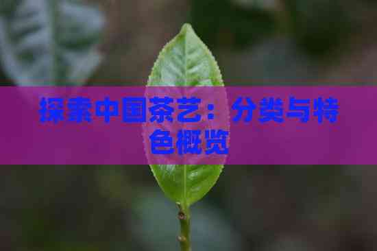探索中国茶艺：分类与特色概览(图6)