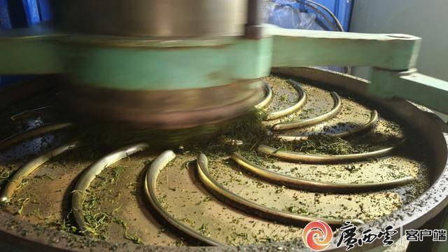 金秀白牛茶C位出道年产值18亿jbo竞博网址元(图3)