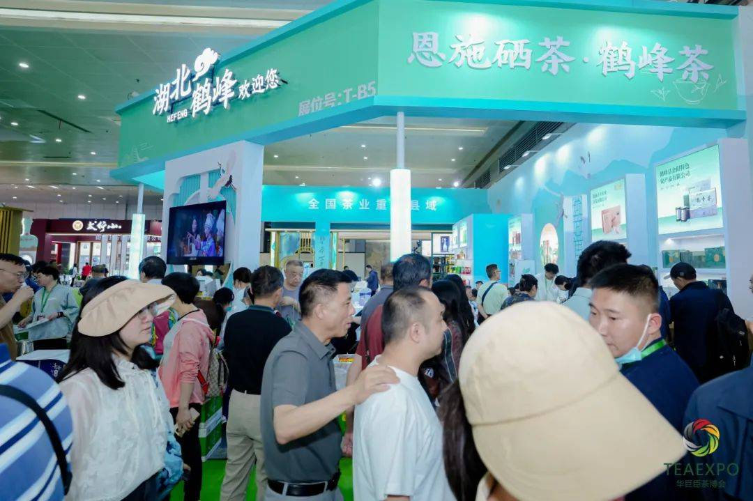 华巨臣第15届武汉茶博会首日现场直击jbo竞博登录(图6)