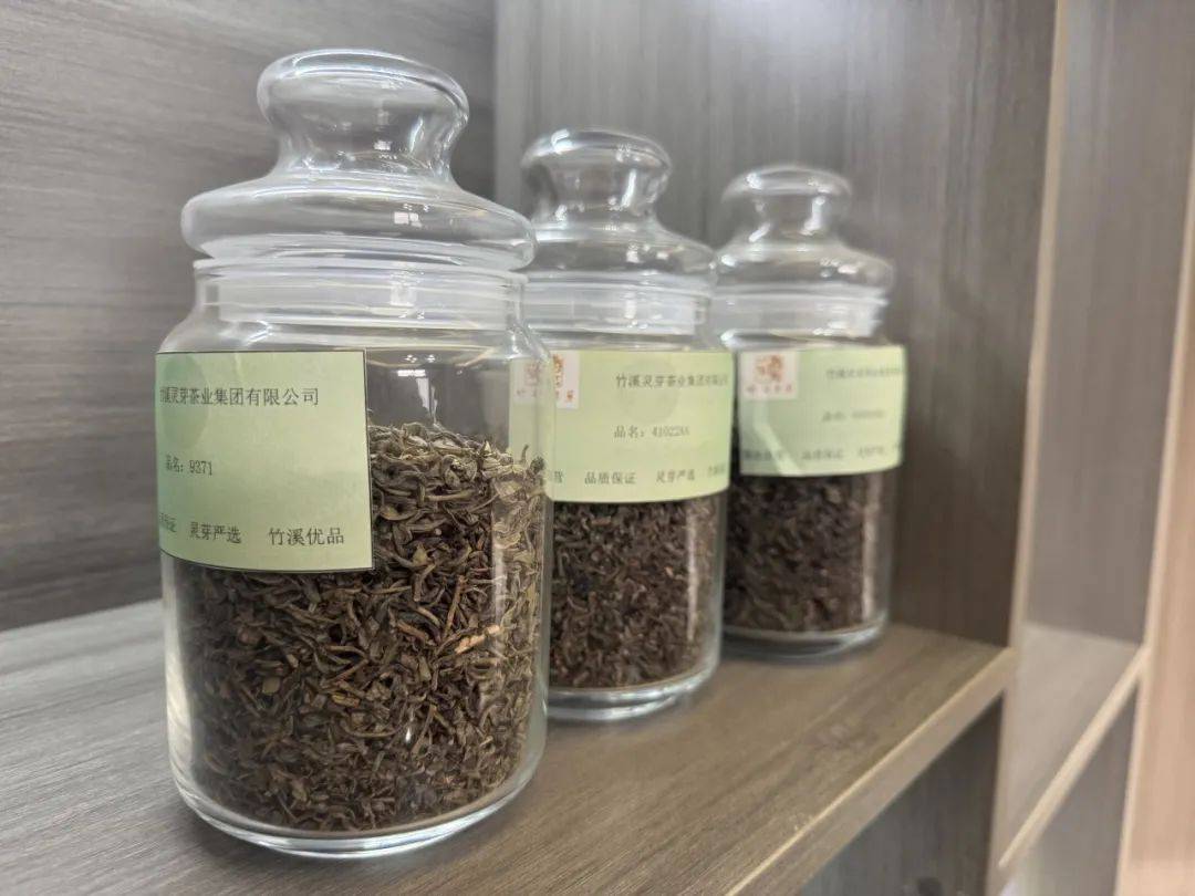 竹溪观“茶”记①丨大茶开辟“新赛道”“老茶乡”迎来“新茶香”(图7)
