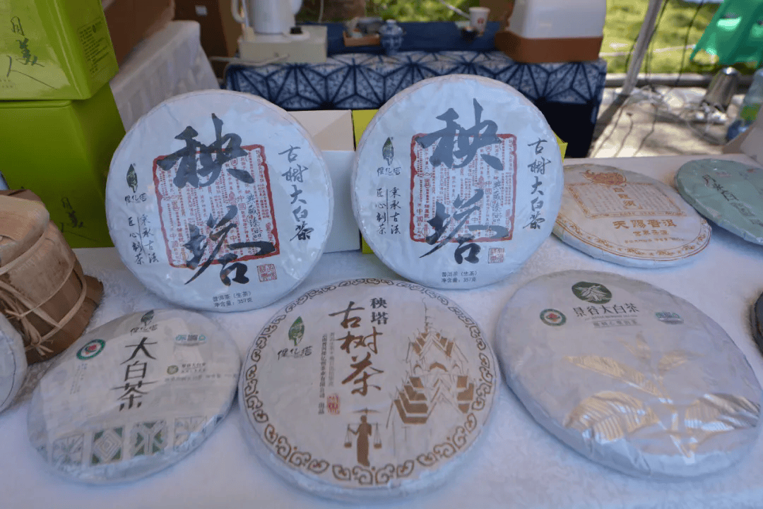 【特色产业】“白茶雅韵·茶香景谷”——2025景谷大白茶新质生产力发展交流会成功举办jbo竞博下载(图2)