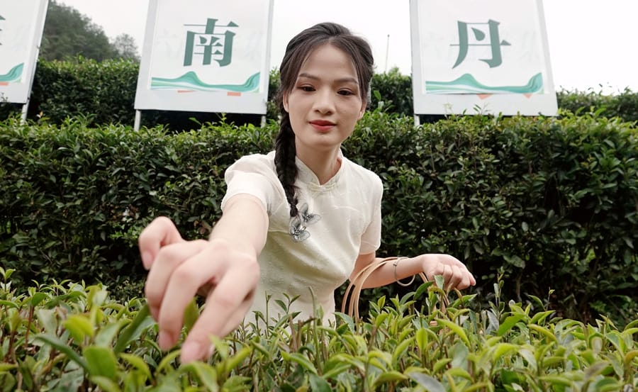 div data=datasource：2023062560d175ec735c4d33b49263bf24fe0abf type=content(图9)