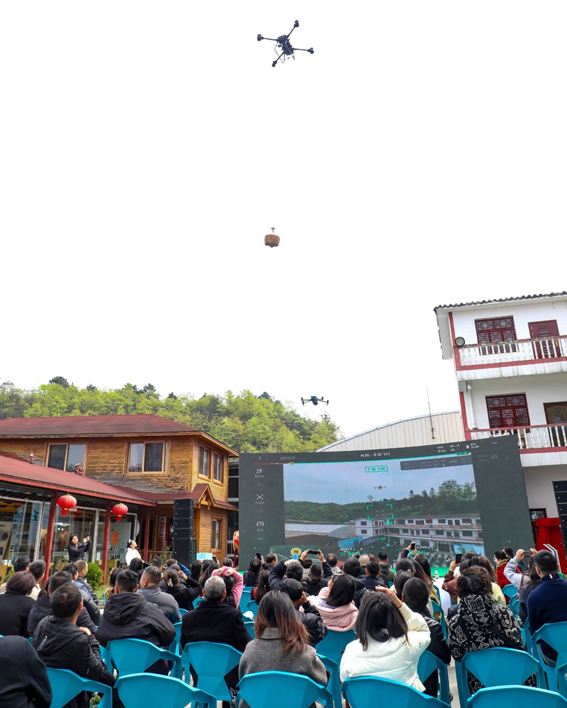 观山湖区：“绿叶”变“金叶” 茶香满山间(图8)