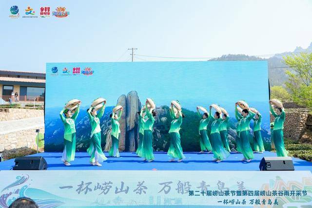 100多亩茶园日产干茶10余斤崂山春茶“稀罕”上市(图2)