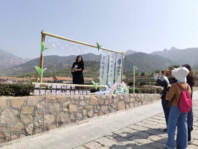 100多亩茶园日产干茶10余斤崂山春茶“稀罕”上市(图6)