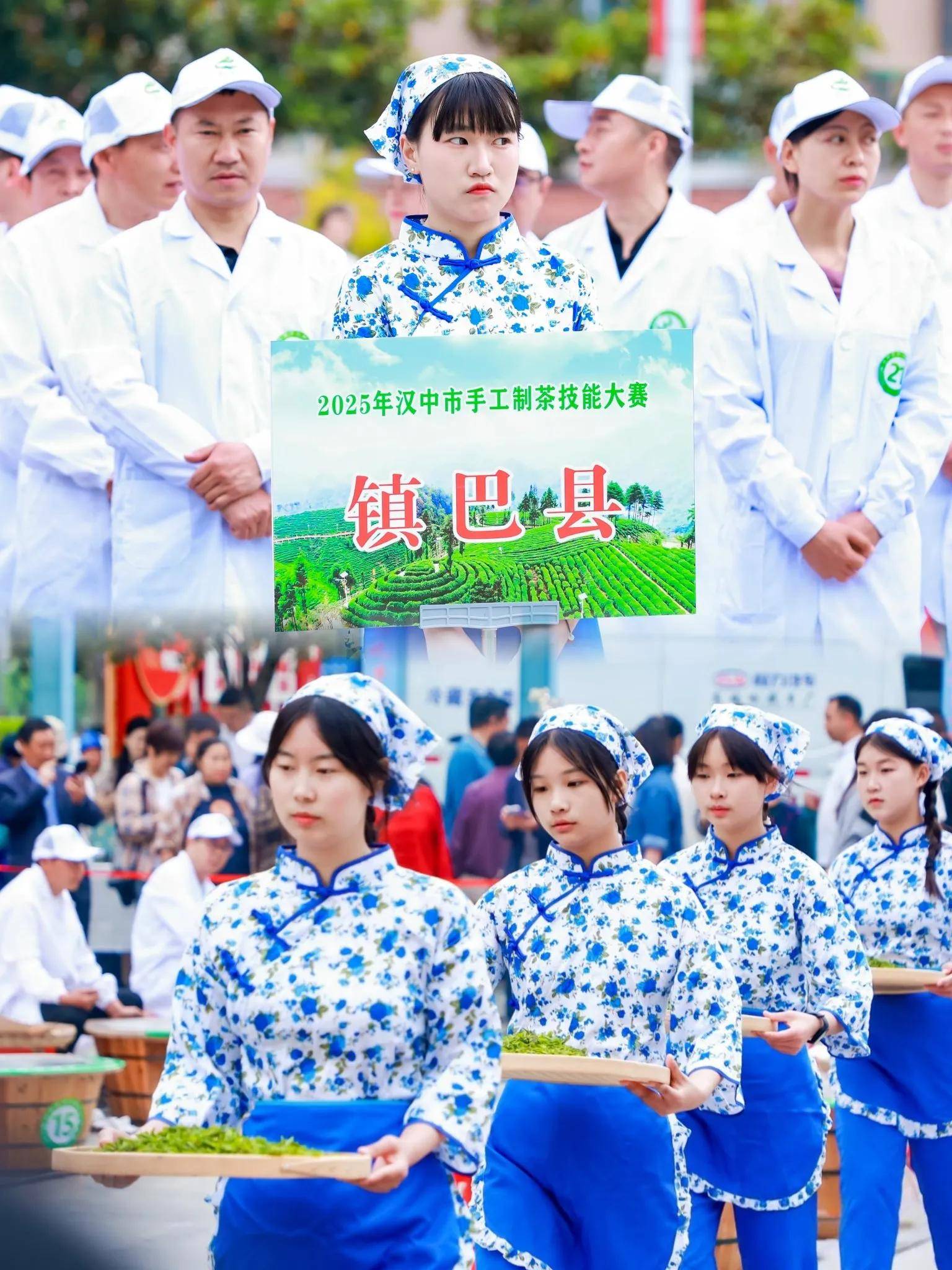在镇巴见证一片茶叶的匠心之旅(图8)