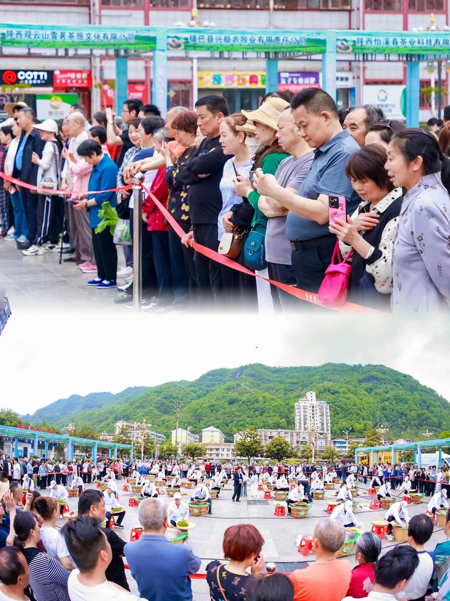 在镇巴见证一片茶叶的匠心之旅(图3)