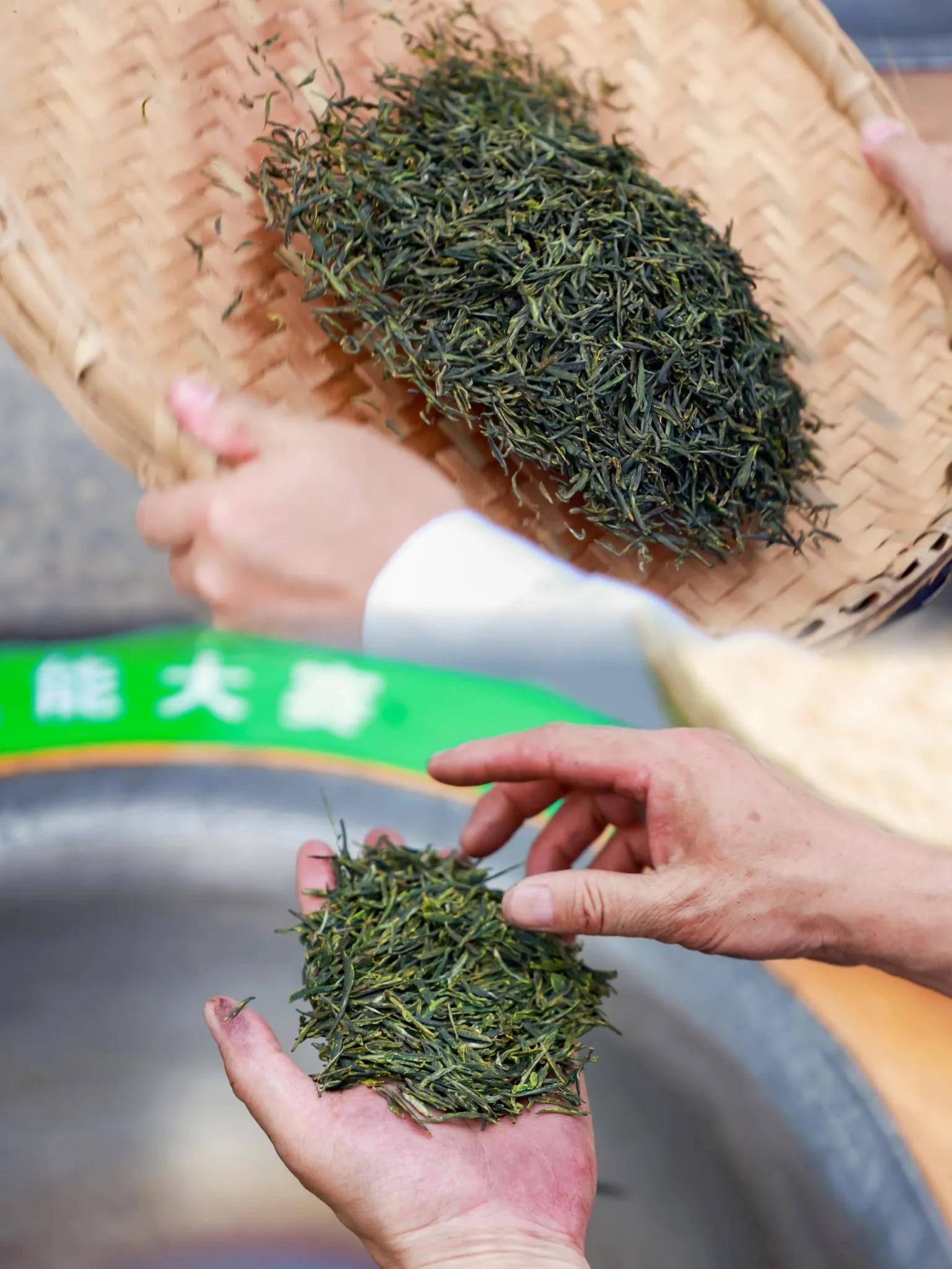 在镇巴见证一片茶叶的匠心之旅(图4)