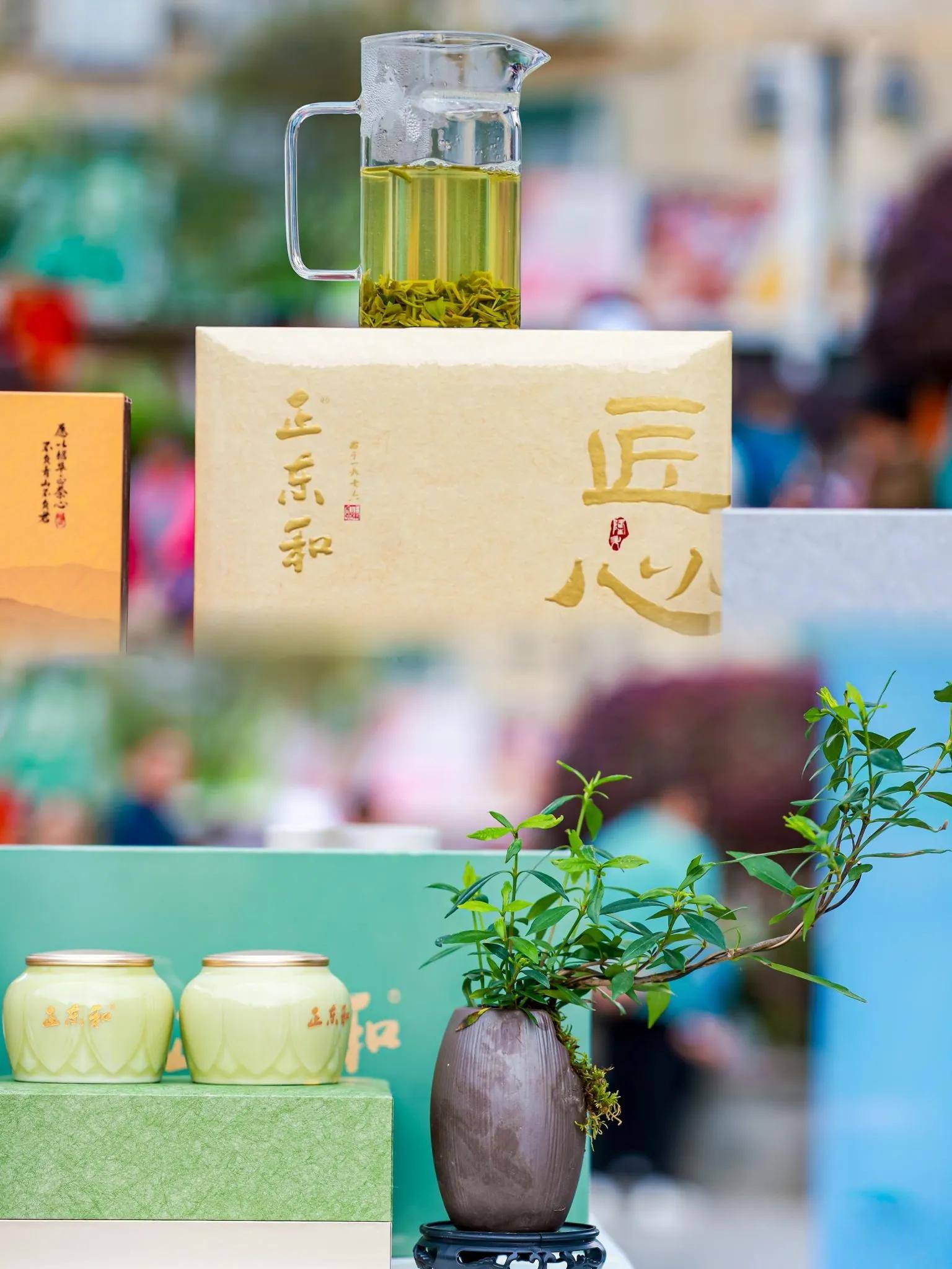 在镇巴见证一片茶叶的匠心之旅(图5)