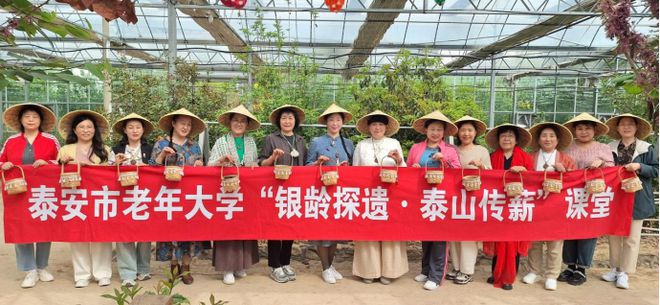 jbo竞博网址茶香满园研学之旅——泰安市老年大学2025年茶文化研学活动圆满举行(图1)
