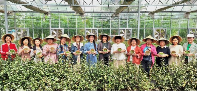 jbo竞博网址茶香满园研学之旅——泰安市老年大学2025年茶文化研学活动圆满举行(图5)