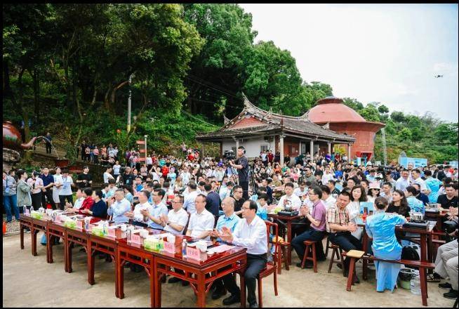 开茶咯2025安溪铁观音开茶季盛大启幕jbo竞博登录(图2)