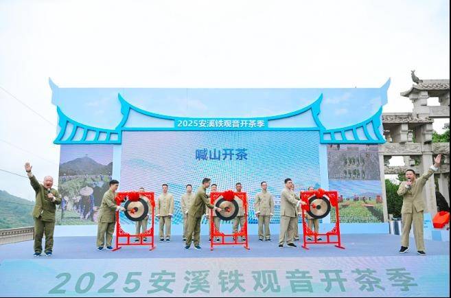 开茶咯2025安溪铁观音开茶季盛大启幕jbo竞博登录(图3)