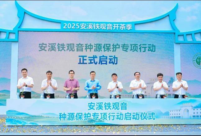 开茶咯2025安溪铁观音开茶季盛大启幕jbo竞博登录(图7)