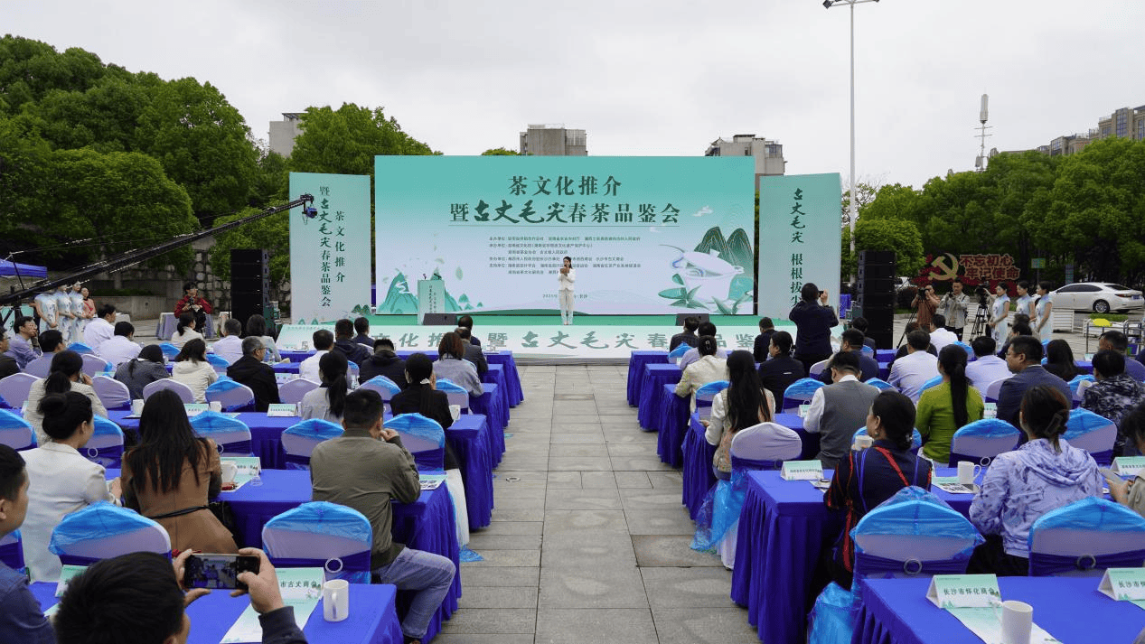湖南古丈县茶文化推介暨古丈毛尖春茶品鉴会在长沙举行(图1)