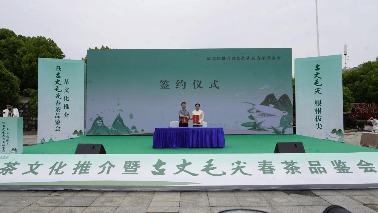 湖南古丈县茶文化推介暨古丈毛尖春茶品鉴会在长沙举行(图3)