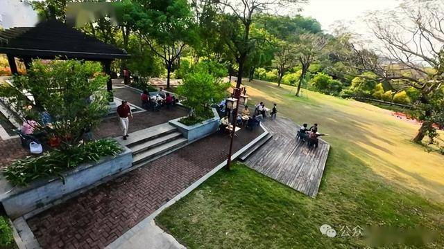闽南茶道浸润城市肌理：漳州市民共享茶摊的文化实践与城市启示(图1)