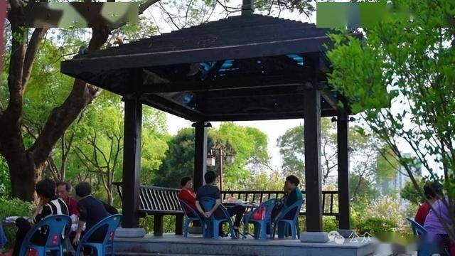 闽南茶道浸润城市肌理：漳州市民共享茶摊的文化实践与城市启示(图5)