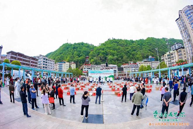 手工制茶拼技艺茶艺传承守匠心(图1)