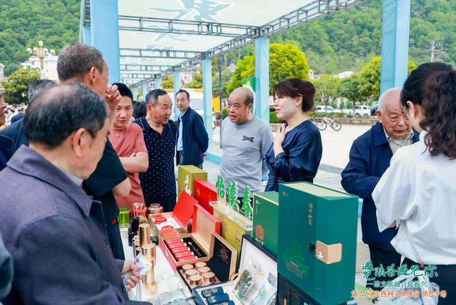 手工制茶拼技艺茶艺传承守匠心(图7)