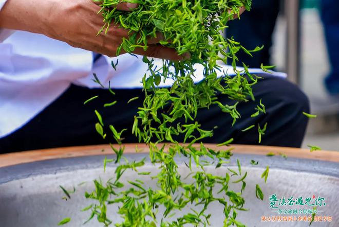 手工制茶拼技艺茶艺传承守匠心(图3)