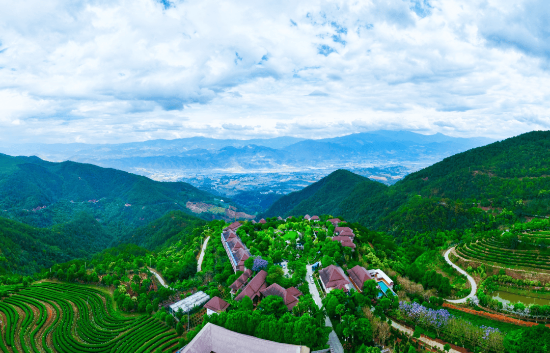 以茶为媒·与旅共舞——世界茶源地之一的振兴答卷(图8)