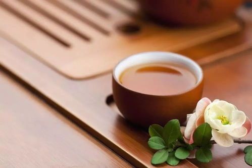 jbo竞博平台茶艺雅韵感受每一杯茶的温润与深意(图2)