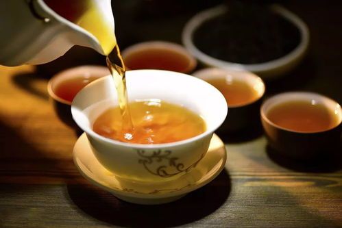 jbo竞博平台茶艺雅韵感受每一杯茶的温润与深意(图3)