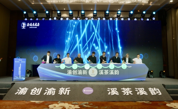 巫溪：打造老鹰茶全产业链 领跑茶叶产业“新赛道”(图1)