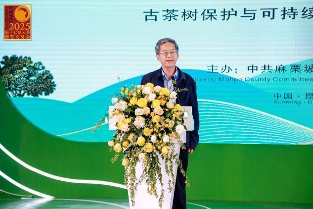 麻栗坡“老山茶”亮相云茶博览会(图2)