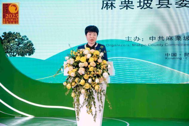 麻栗坡“老山茶”亮相云茶博览会(图1)