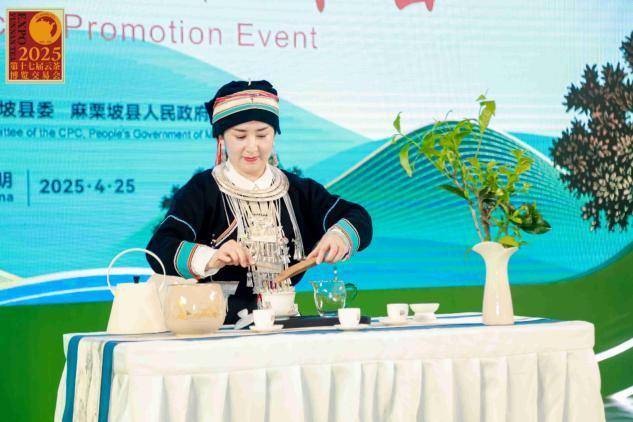 麻栗坡“老山茶”亮相云茶博览会(图3)