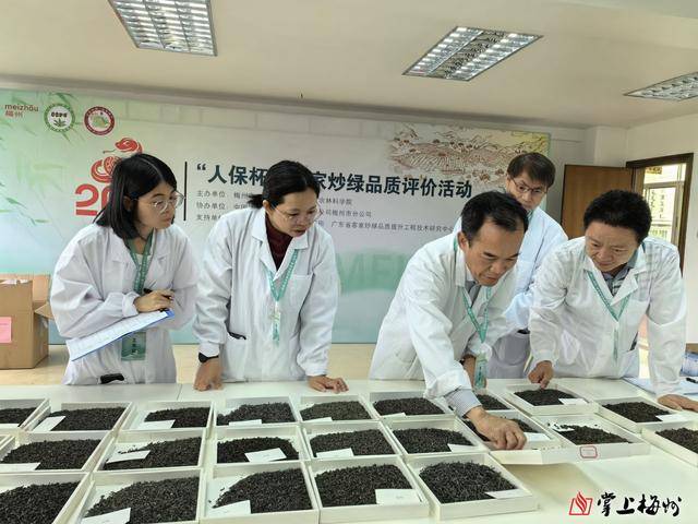 jbo竞博下载2025年“客家炒绿茶王”出炉(图1)