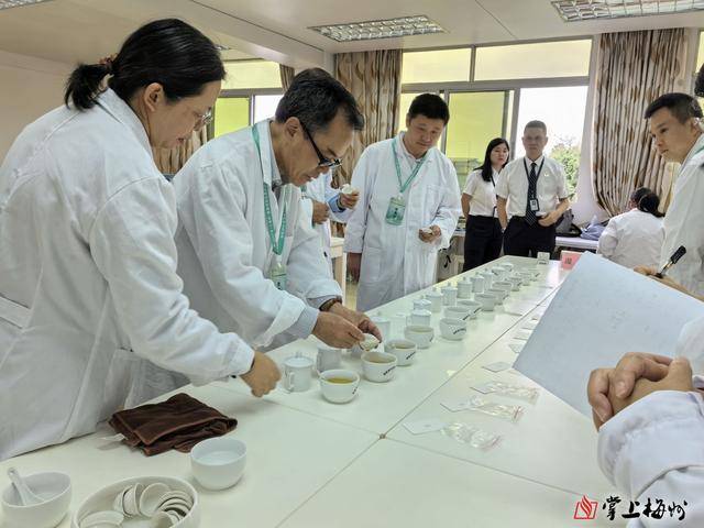 jbo竞博下载2025年“客家炒绿茶王”出炉(图3)