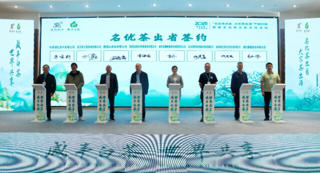 2025“名优茶出省 大宗茶出海”产销对接暨咸丰白茶文化交流活动举行(图2)