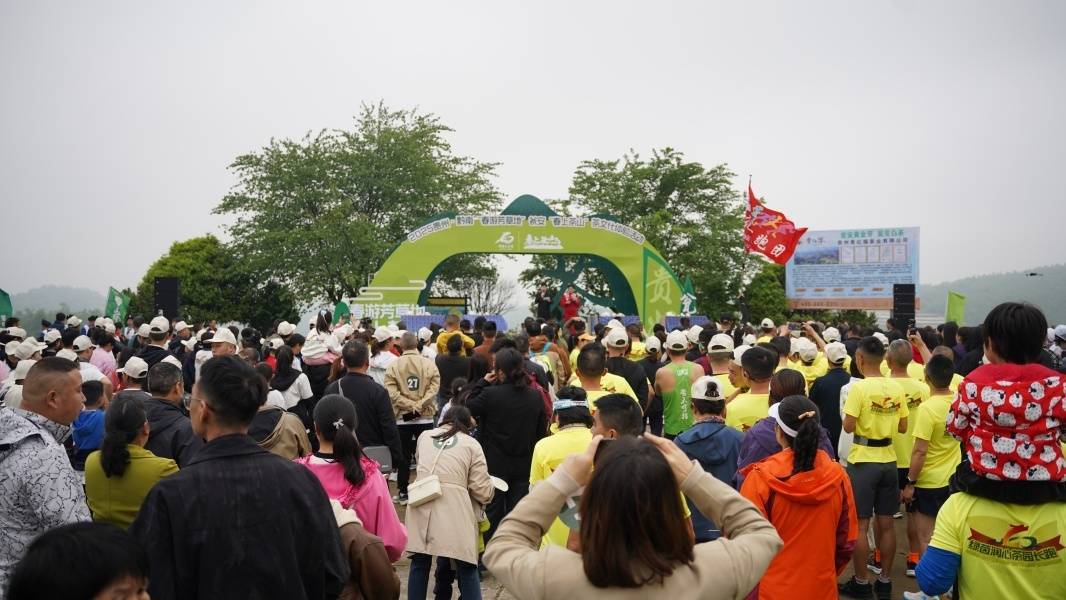 邂逅春日茶山贵州这场盛宴邀您共赏茶韵之美(图1)